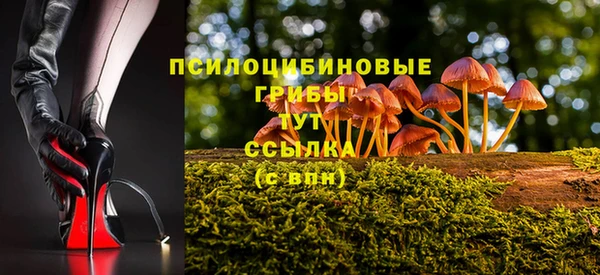 крисы Абдулино