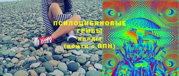 крисы Абдулино