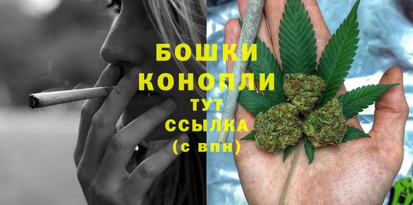 крисы Абдулино