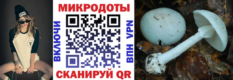 Галлюциногенные грибы прущие грибы Кирсанов